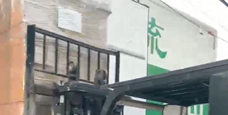Упаковка и отгрузка