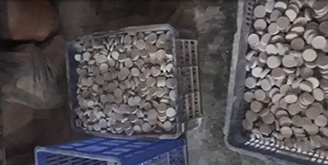 Упаковка и отгрузка